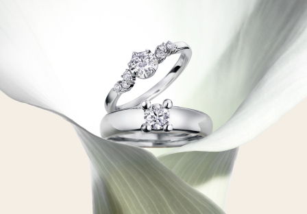 rugiadaのブランドイメージ